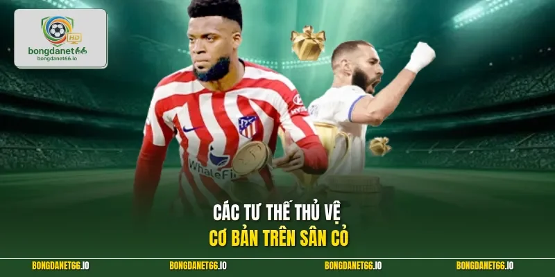 Các tư thế thủ vệ cơ bản trên sân cỏ