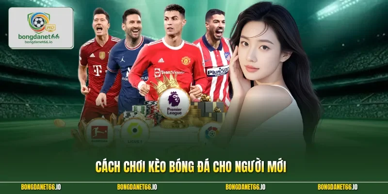 Cách chơi kèo bóng đá cho người mới