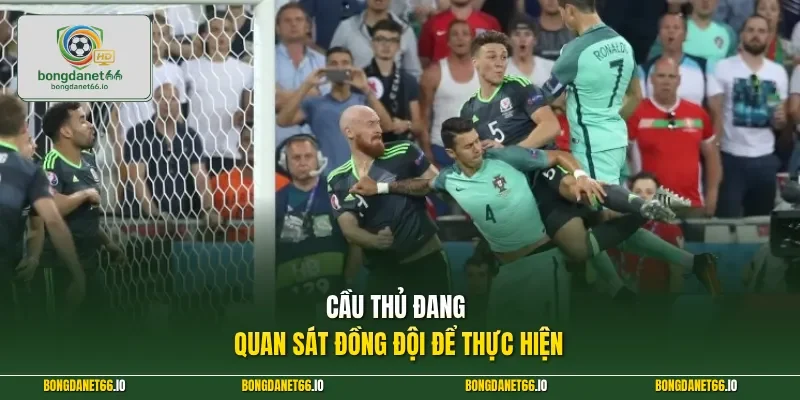 Cầu thủ đang quan sát đồng đội để thực hiện
